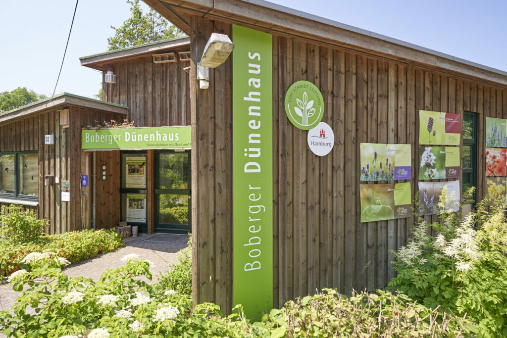 Detailansicht Boberger Dünenhaus außen