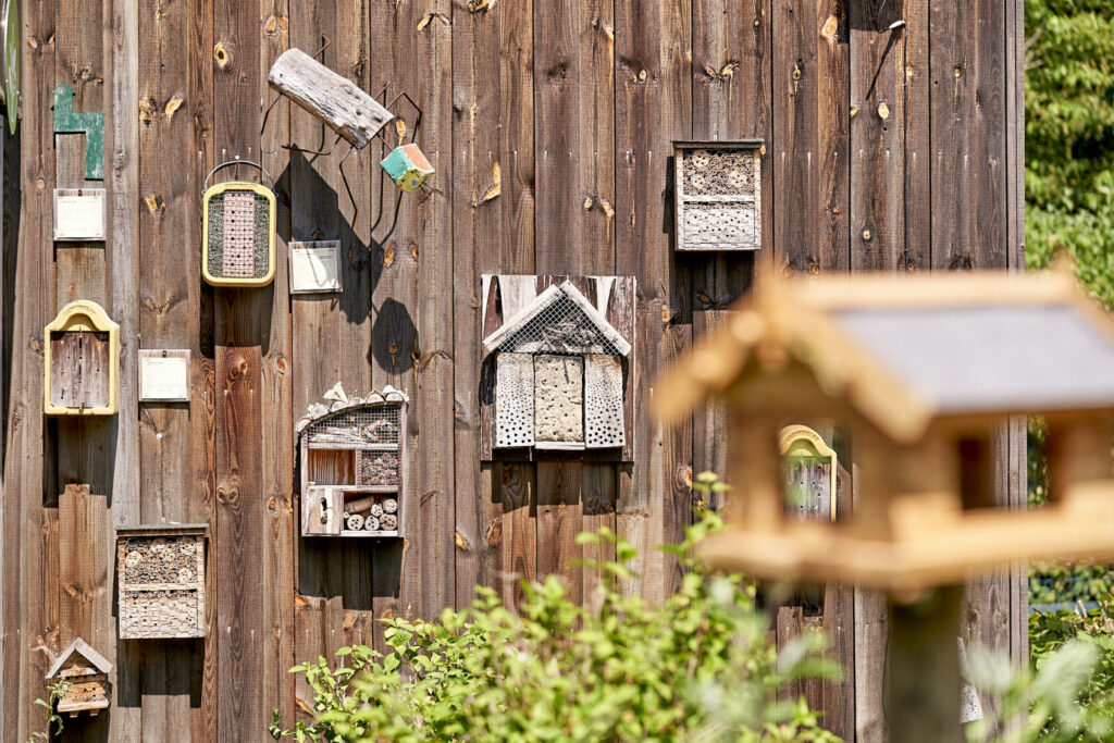 Nist- und Wohnkästen für Vögel und Insekten